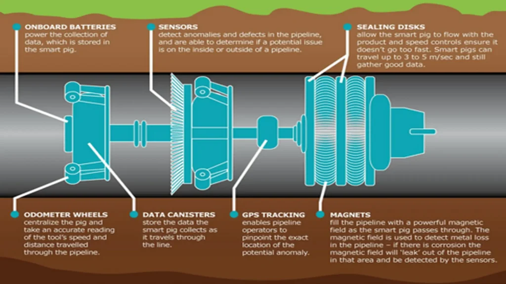 Schematic representation of a magnetic PIG model.