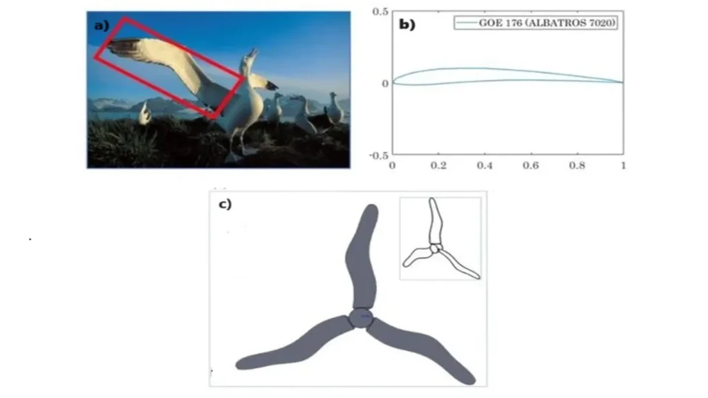 Biomimetics in the development of high-performance wind turbines