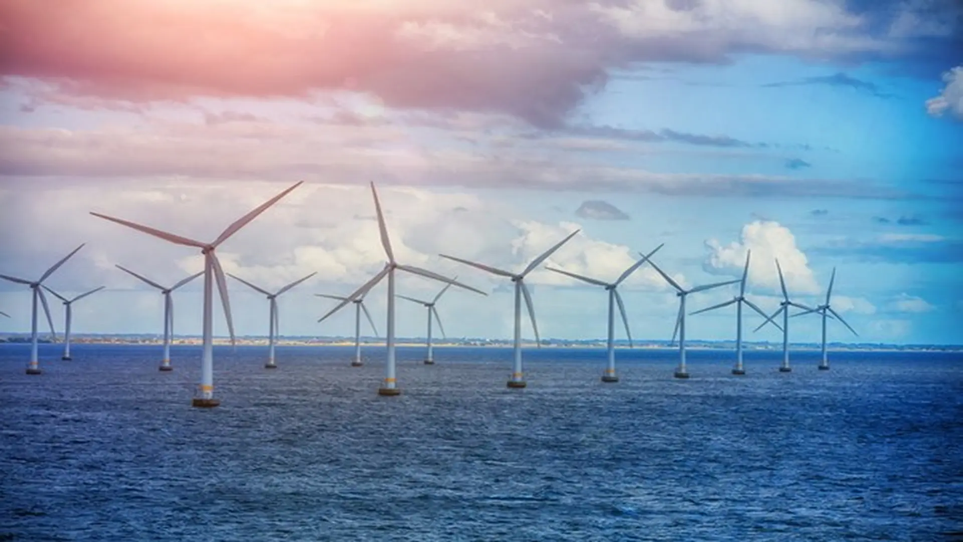 Figure 4. offshore wind farm.