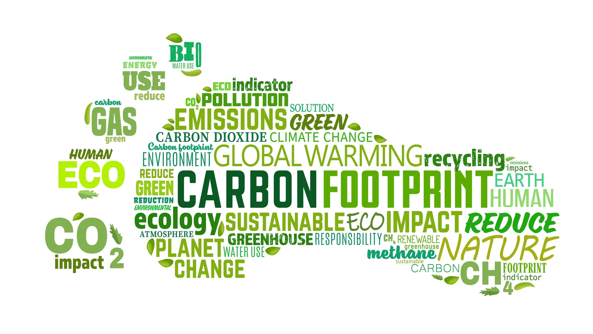 Climate Change: Your carbon footprint explained.