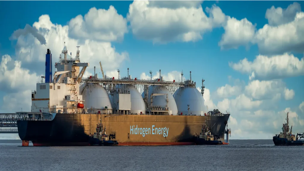 Hydrogen as a fuel for maritime transport: a sustainable strategy