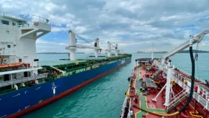 Mangueras marinas de nueva generación para transferencias offshore