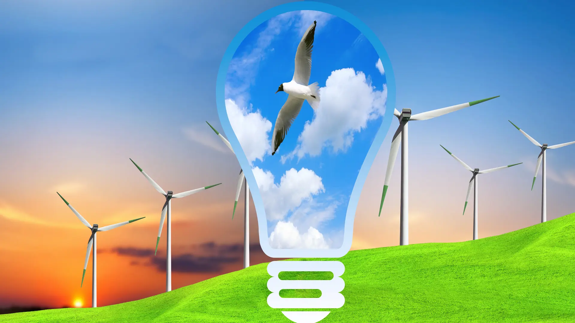 Generación de electricidad limpia a partir de la energía del viento.