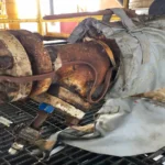 Corrosion under insulation: advances in protective coatings