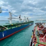 New generation marine hoses for offshore transfers