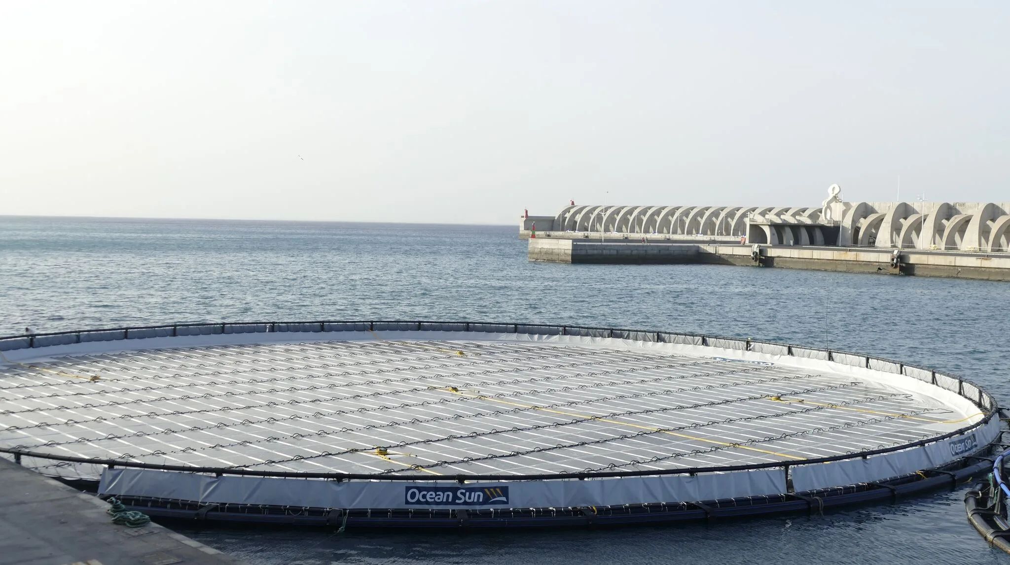 Plataforma de energía solar flotante de Ocean Sun instalada en un entorno portuario, tecnología que será evaluada en el proyecto Isla Bonita para integrar generación renovable y desalinización en La Palma.