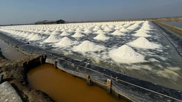 Extracción de litio ecológica con termodifusión