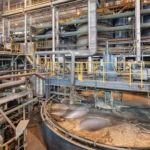 crean empresa para minería