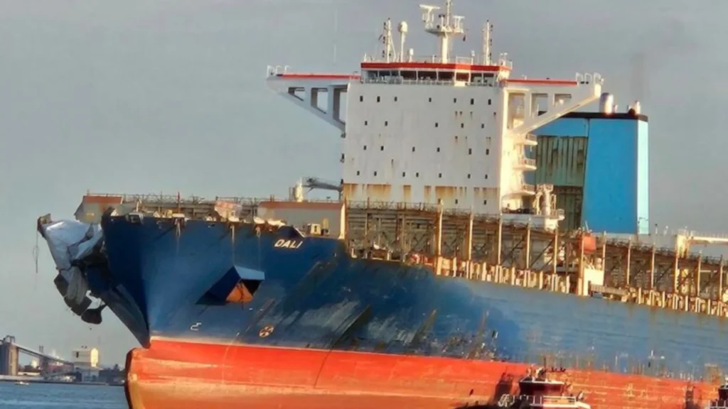 Portacontenedores Dali