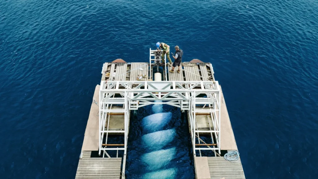 Deployment plans for the Axial Skelter tidal energy converter are moving forward