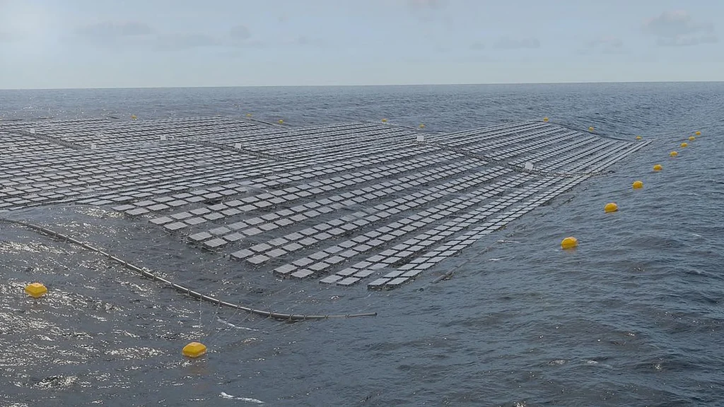 Sistema de energía solar flotante BRIZO instalado sobre el agua y diseñado para operar en condiciones de oleaje y entornos costeros.