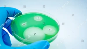 Bacterias fluorescentes permiten detectar microplásticos en horas