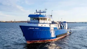 TDI-Brooks realizará estudios para el proyecto Delfin LNG en Luisiana