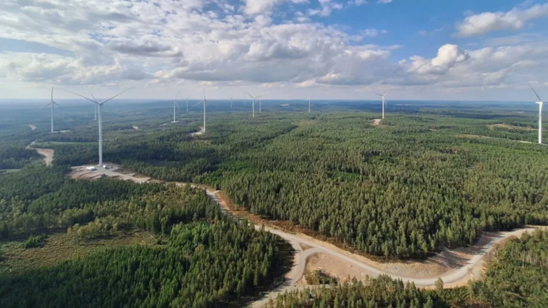 Bruzaholm wind farm becomes operational