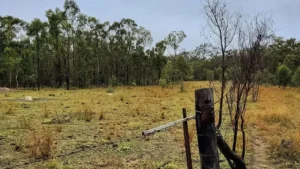 CIP adquiere Gawara Baya con BESS de 104 MW en Australia