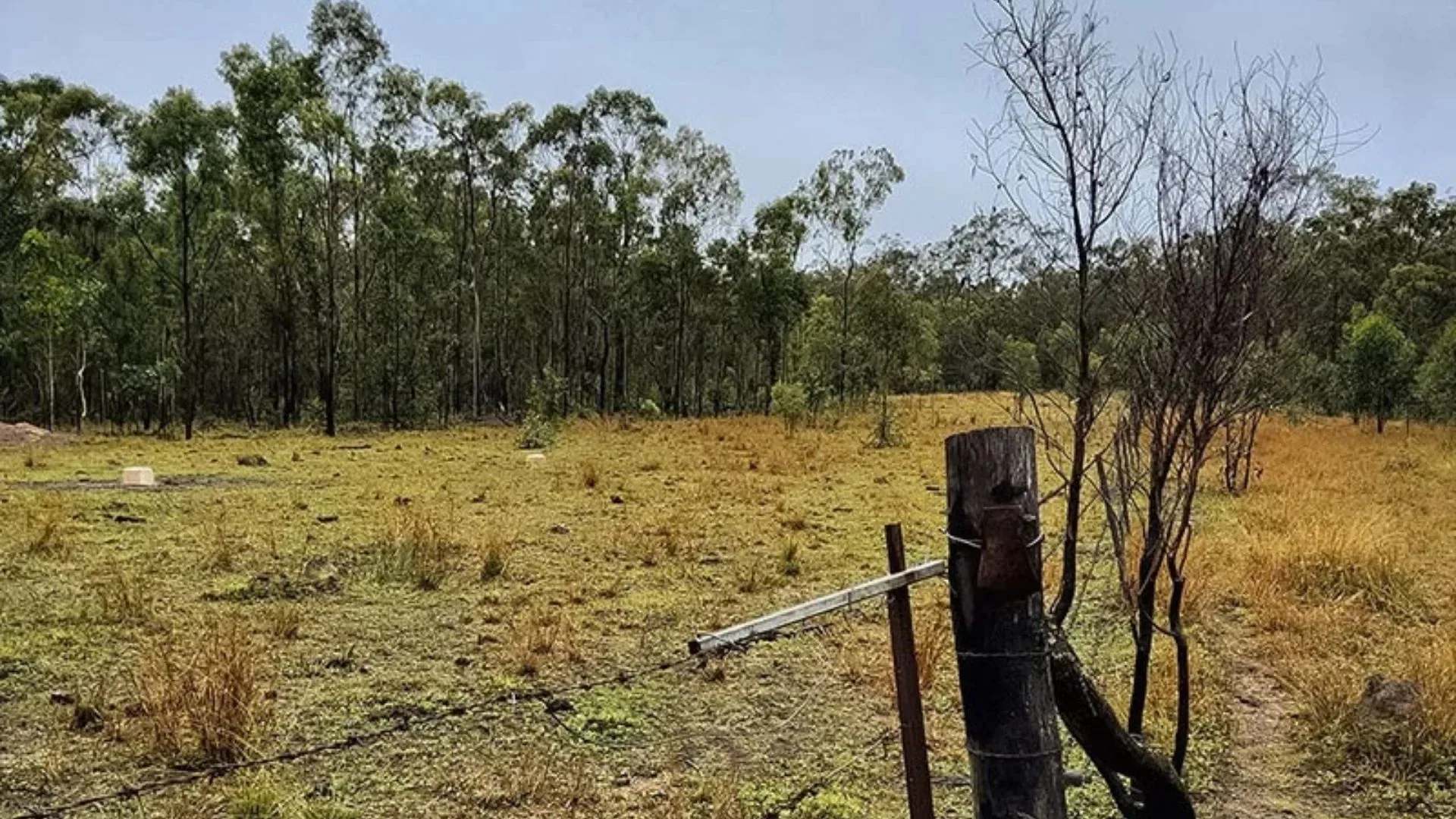 CIP obtiene Gawara Baya con BESS de 104 MW en Australia