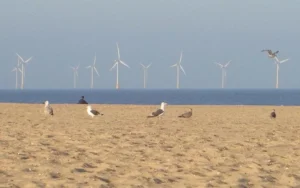 El calentamiento global lleva los mares europeos a temperaturas récord