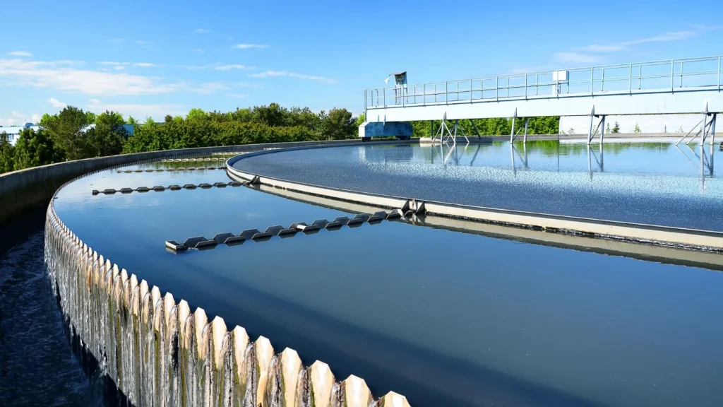 Crean filtros magnéticos con residuos agrícolas