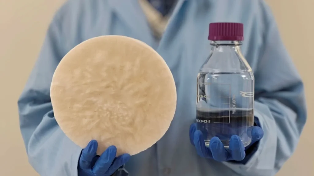 Logran extraer agua potable del aire con biomasa