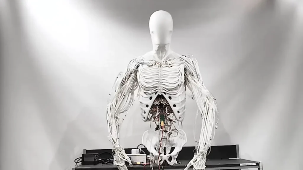 El robot humanoide con musculatura impulsada por agua