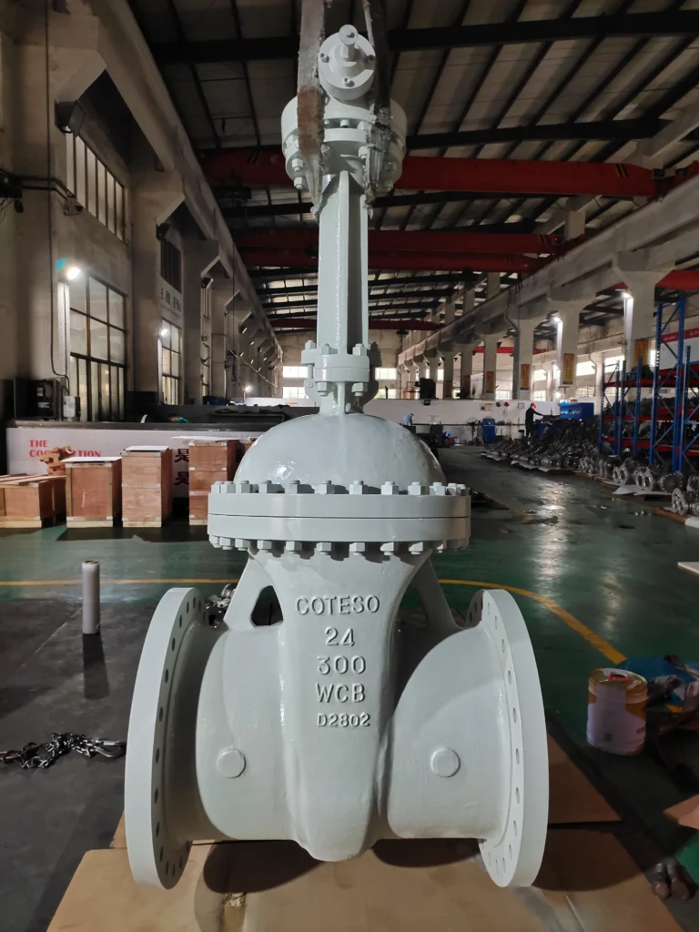 Coteso Valves