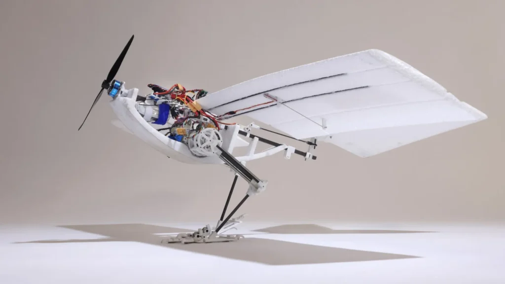 Pájaro robot