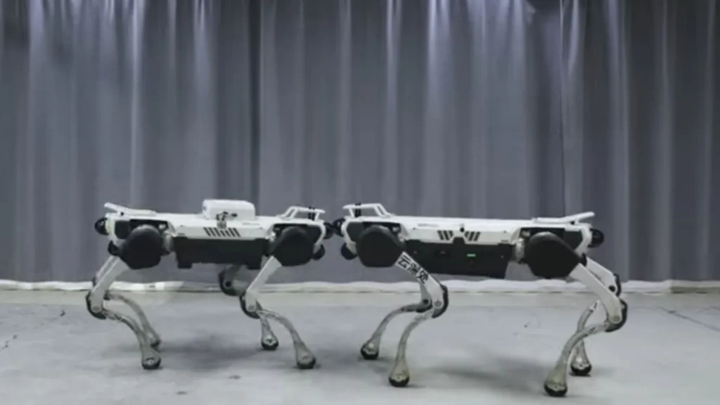 Perro robot