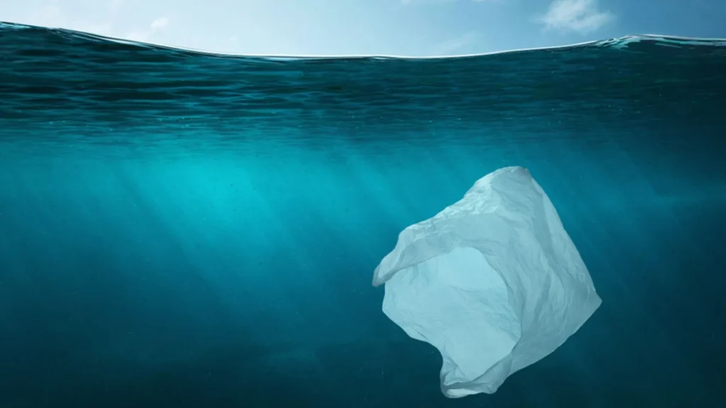 Nuevo plástico biodegradable