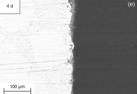 Cross-section of AC-damaged zinc
