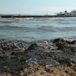 Derrame de petróleo en Omán se alarga por casi 400 km²