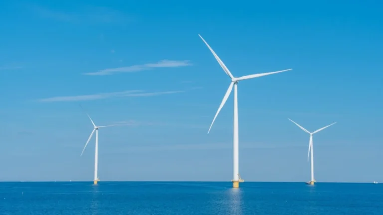 Duke Energy cancela proyecto eólico marino