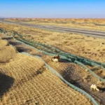 El aprovechamiento de las palas eólicas fuera de servicio