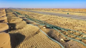 Chinese researchers reuse wind blades to curb desertification in Gobi