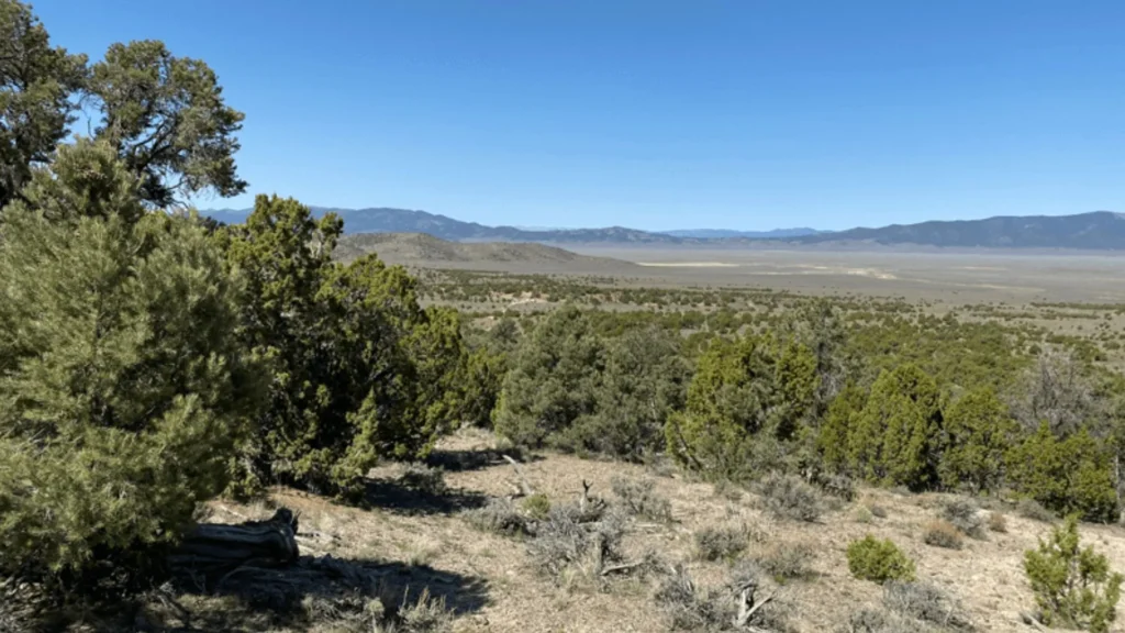 El avance del proyecto Selena CRD en Nevada