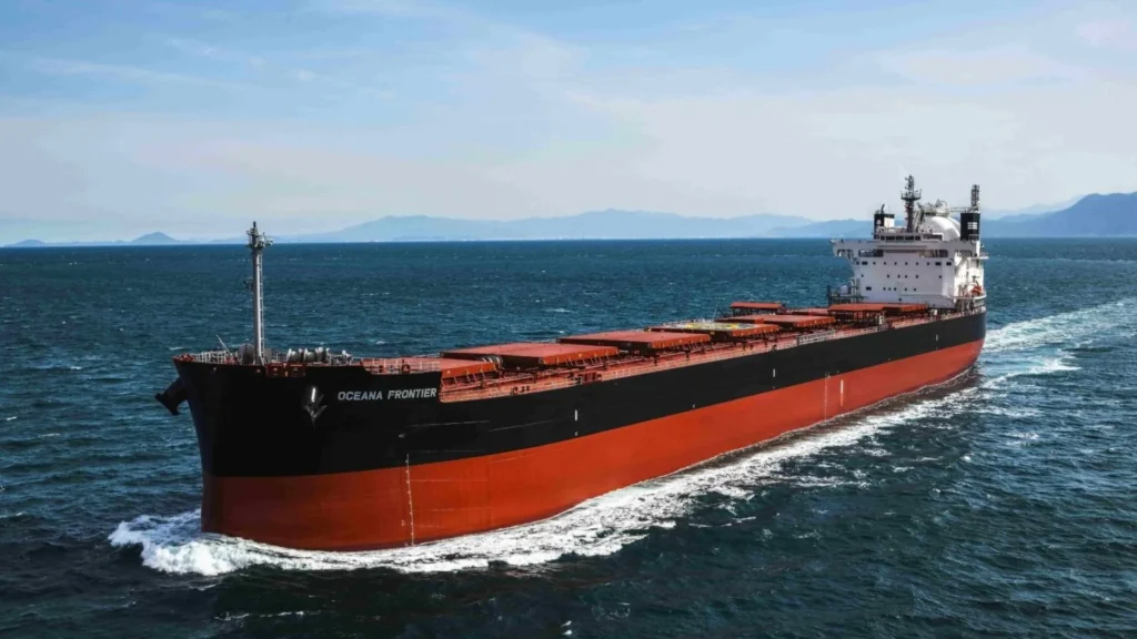 Tsuneishi Shipbuilding entrega su primer buque granelero Kamsarmax de GNL