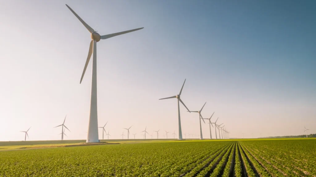 El cuarto parque eólico de Naturgy en Australia