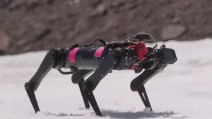 Los perros robots en Proyecto LASSIE