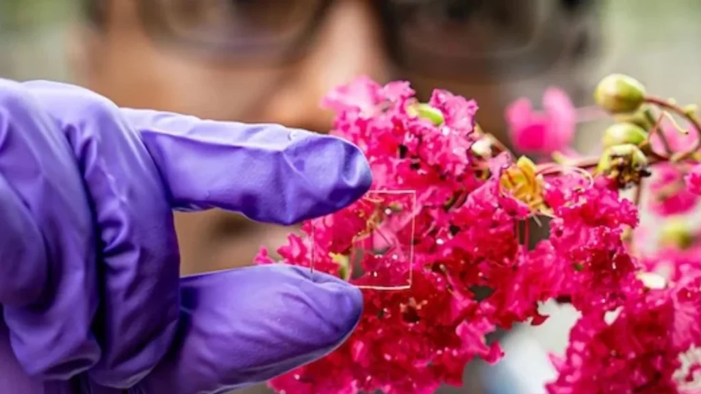A breakthrough in glass coating for energy savings