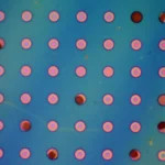 El desarrollo de una nueva película de polímero ligero por el MIT