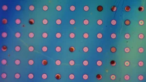 Investigadores del MIT desarrollan película de polímero ligero que previene la corrosión