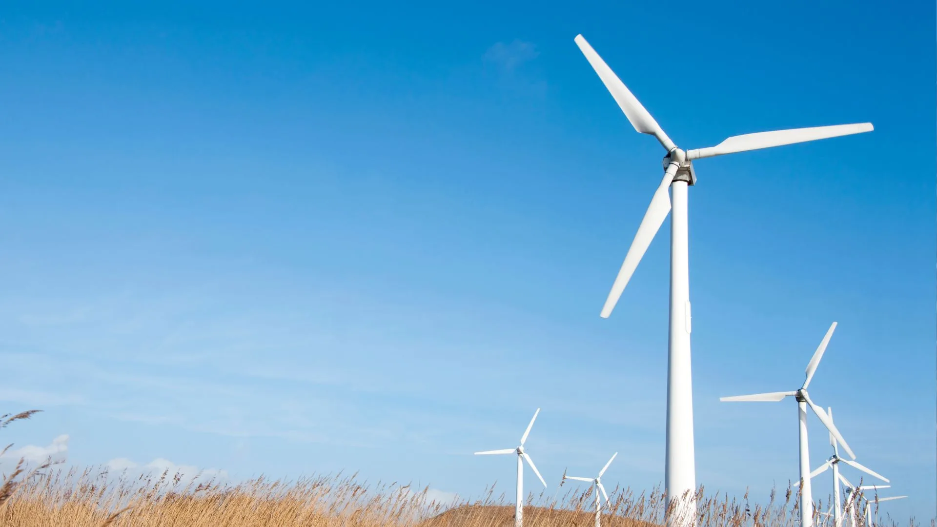 El despliegue de aerogeneradores de los fabricantes asiáticos