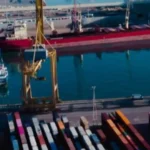 El impacto del almacenamiento de carbono en el ambiente