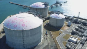 Japan faces the risk of an energy crisis due to a paralysis in LNG supply from the Middle East.