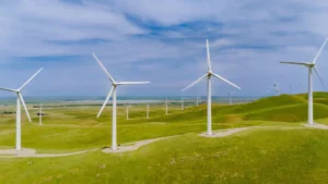 Class action lawsuit against the Department of Defense for blocking wind energy projects