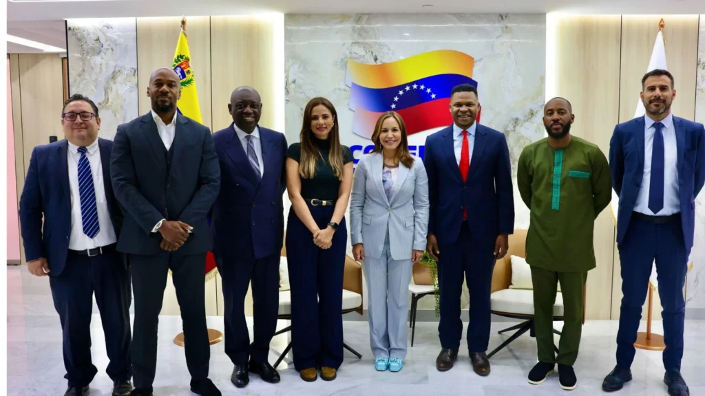 El impulso del sector de hidrocarburos mediante el Banco de Energía de África
