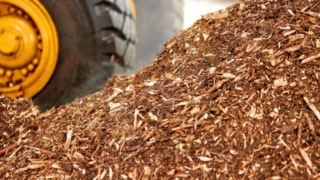 Voltalia starts operations of its biomass power plant in French Guiana
