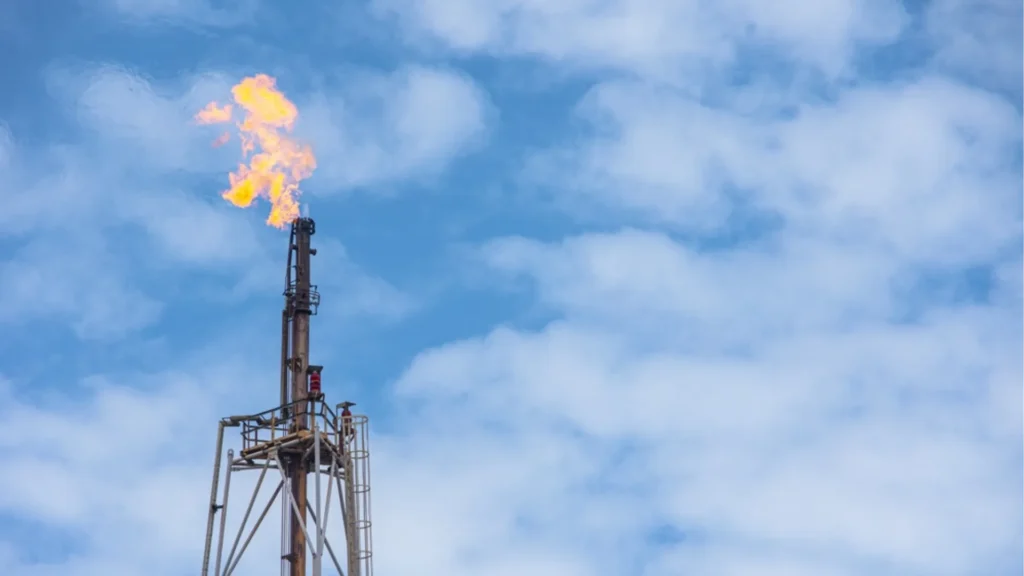 El precio del petróleo cae