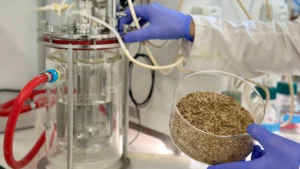 AIMPLAS impulsa bioplásticos sostenibles a partir de residuos agrícolas en el proyecto BIOVALSA