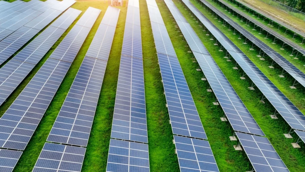 Proyecto Noronha Verde