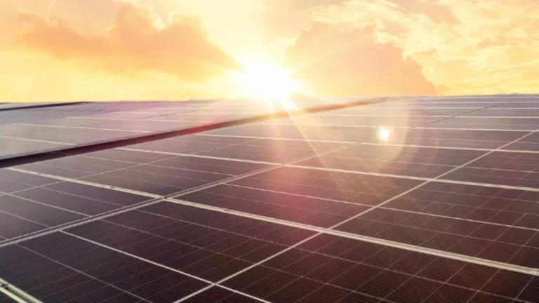 El proyecto solar Zaldívar obtiene respaldo ambiental completo